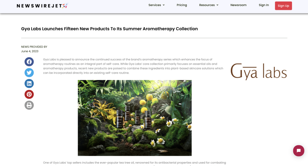 new product launch press release example